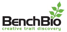 BenchBio, Biotechnology Solutions for Agriculture Structure